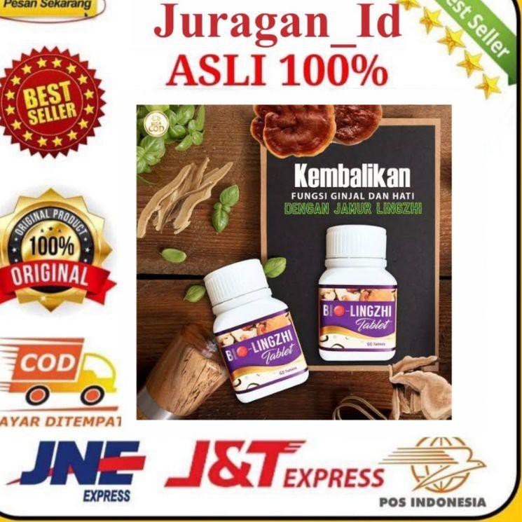 Q62Q BIO LINGZHI ASLI ORIGINAL 100%  UNTUK  GINJAL 