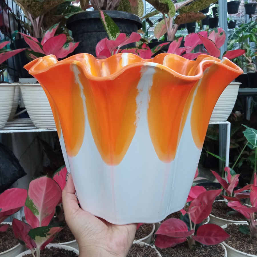 3Pcs Pot Bunga Primadona Orange 30 KB Shallom / Pot Plastik