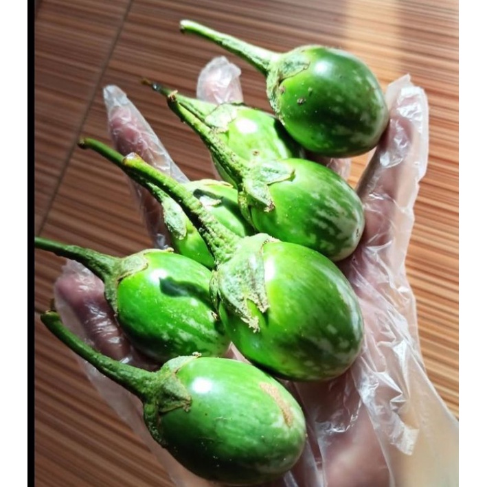 

Terong Bulat Berat 1 kg (Pengiriman Medan)