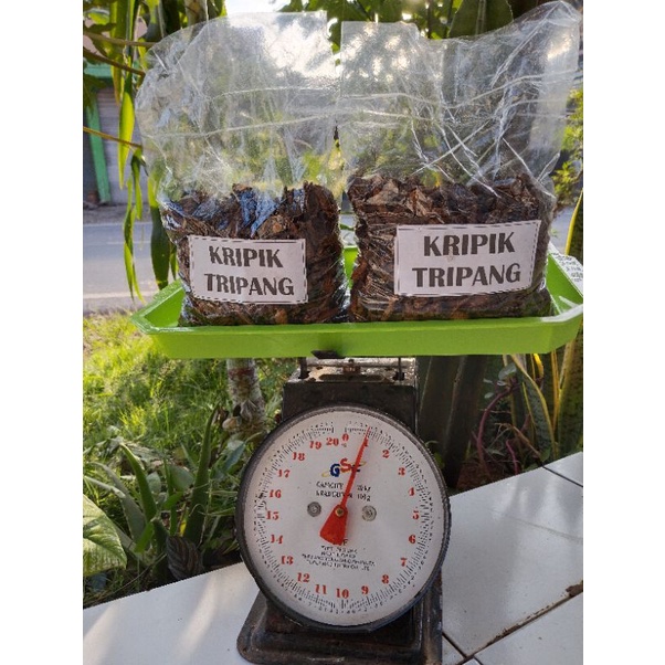 

Kripik tripang/ timun laut mentah 1 kg fresh suda ada bumbu di jamin enak tingal goreng