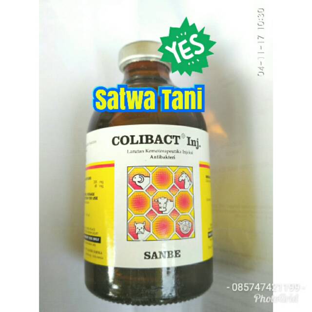 COLIBACT inj.  50 ml (obat diare dan pernafasan)