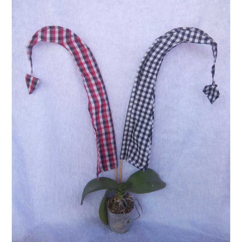 Umbul-Umbul Bali Penjor 50 cm Poleng