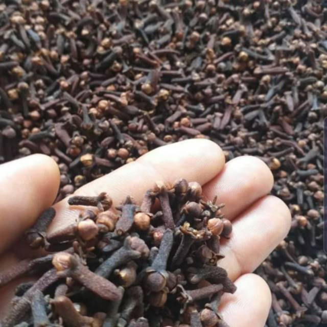 

Cengkeh Kering Super Premium High Quality / Dry Clove Per 100gr