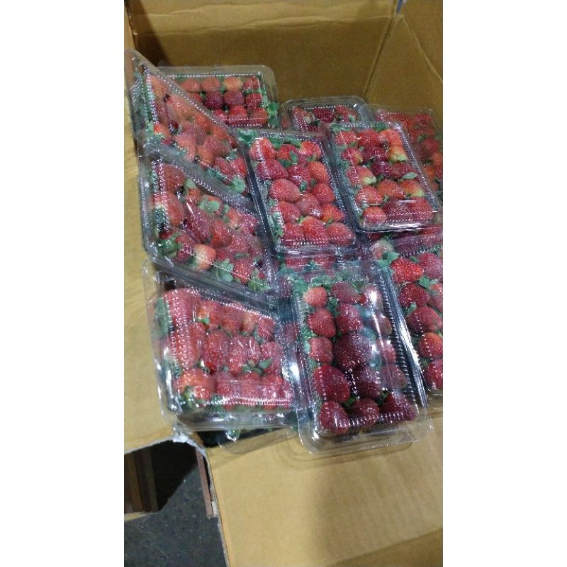 

buah strobery frees
