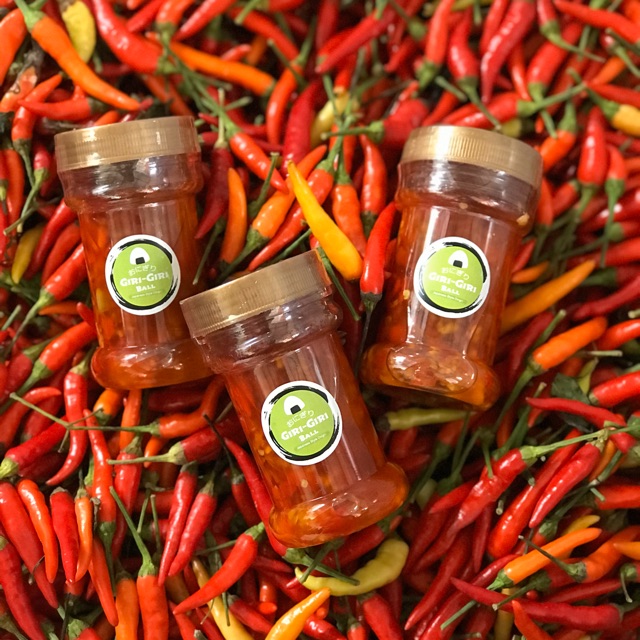 

Sambal Korek