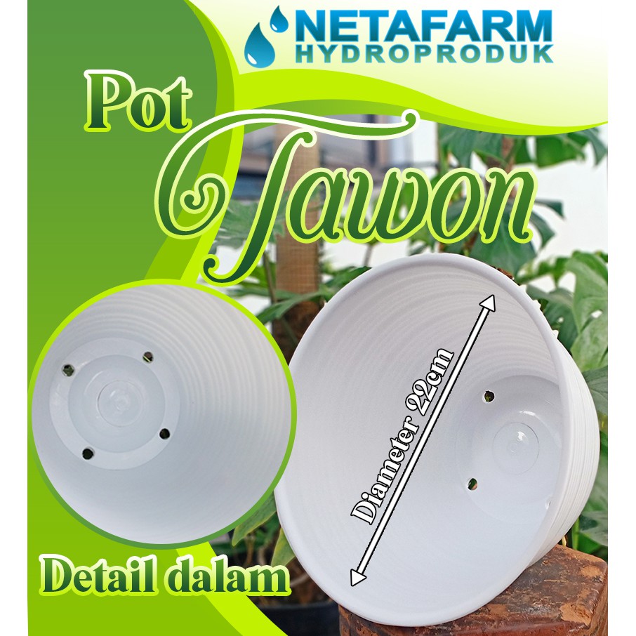 POT BUNGA / Tanaman Hias - POT Tawon Putih no 28