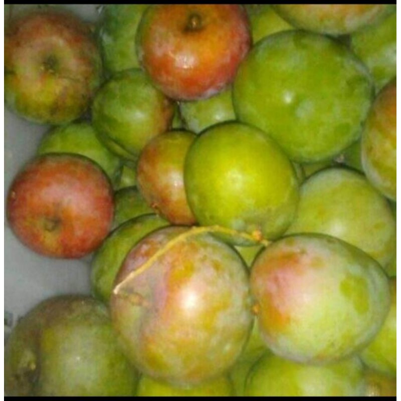 

mangga apel fresh 1 kg
