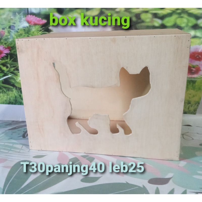 box kucing kayu