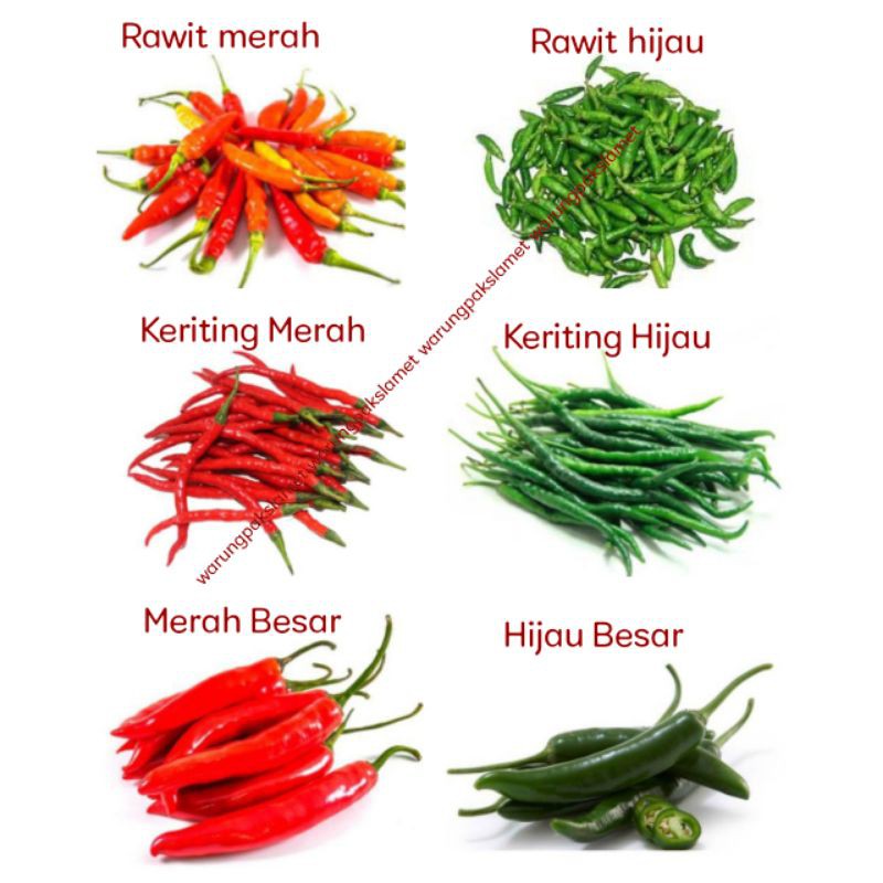 

Cabe Rawit Merah / Cabe Rawit Hijau / Cabe Keriting / Cabe Besar Sayuran segar