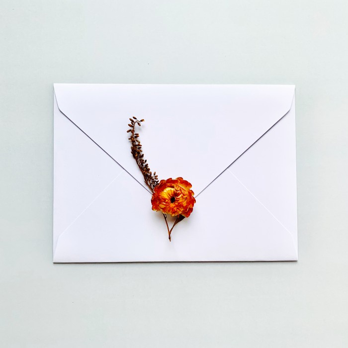 

Menakjubkan Envelope/Amplop (White) Isi 5 - Surat/Vintage/Letter/Baronial Promo