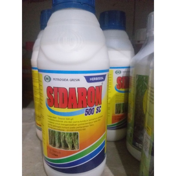 Herbisida Lulangan Sidaron 500sc 1L(diuron)
