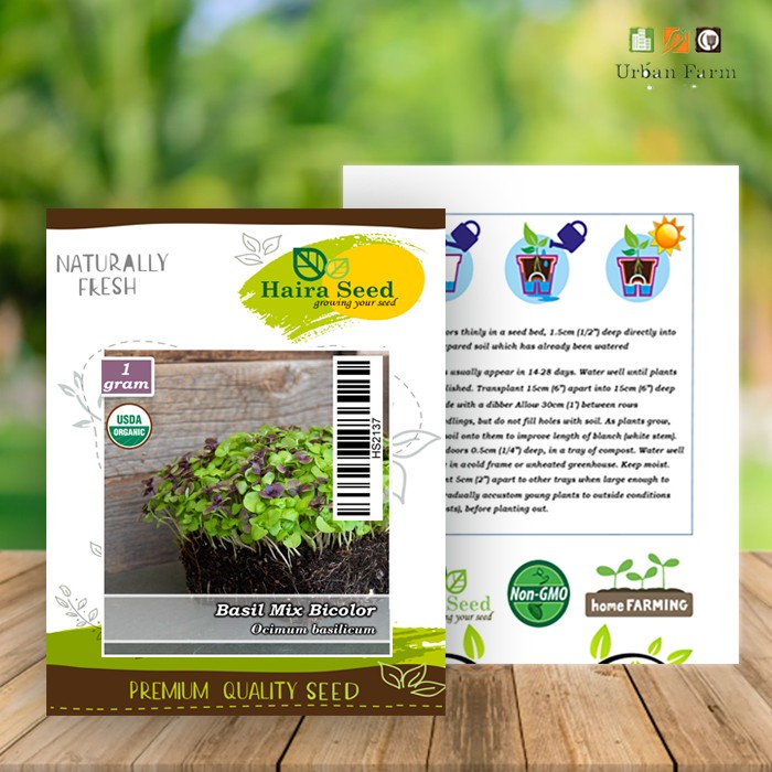 Benih-Bibit Microgreen Basil Bicolor Organik (Haira Seed)