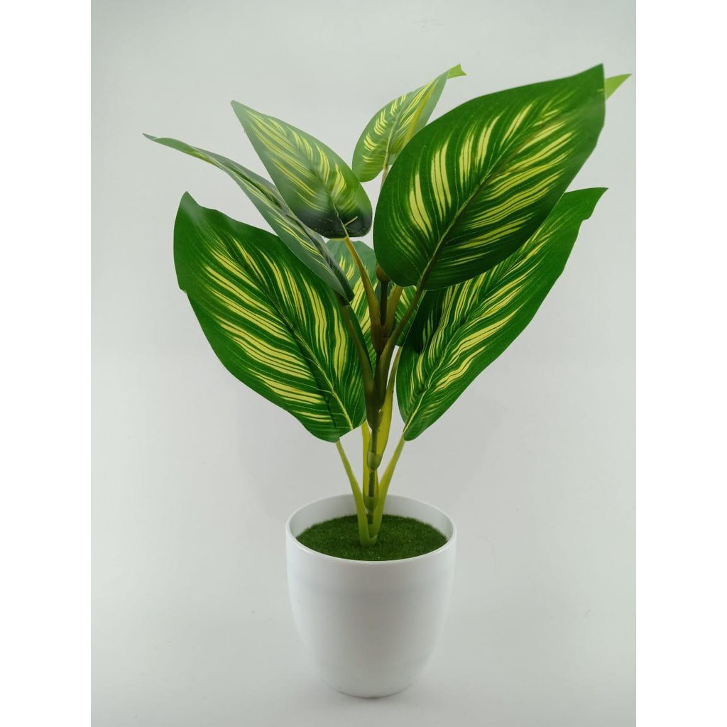 COD TANAMAN HIAS TANAMAN DAUN PLASTIK TANAMAN HIAS RUMAH BUNGA HIAS BUNGA PLASTIK BUNGA BP8830-HIJAU