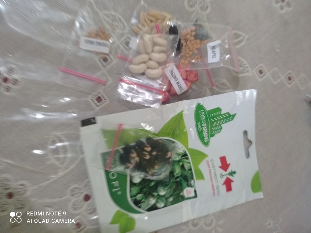 Benih Tanaman Oyong Gambas Biji Buah Bibit Sayur Sayuran Seed Refill