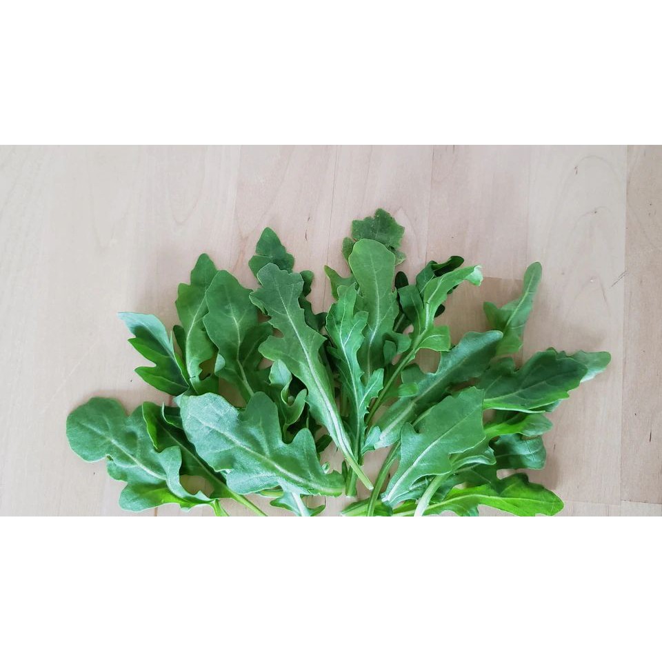 

ARAGULA Organik 100% Sayur Segar Organik