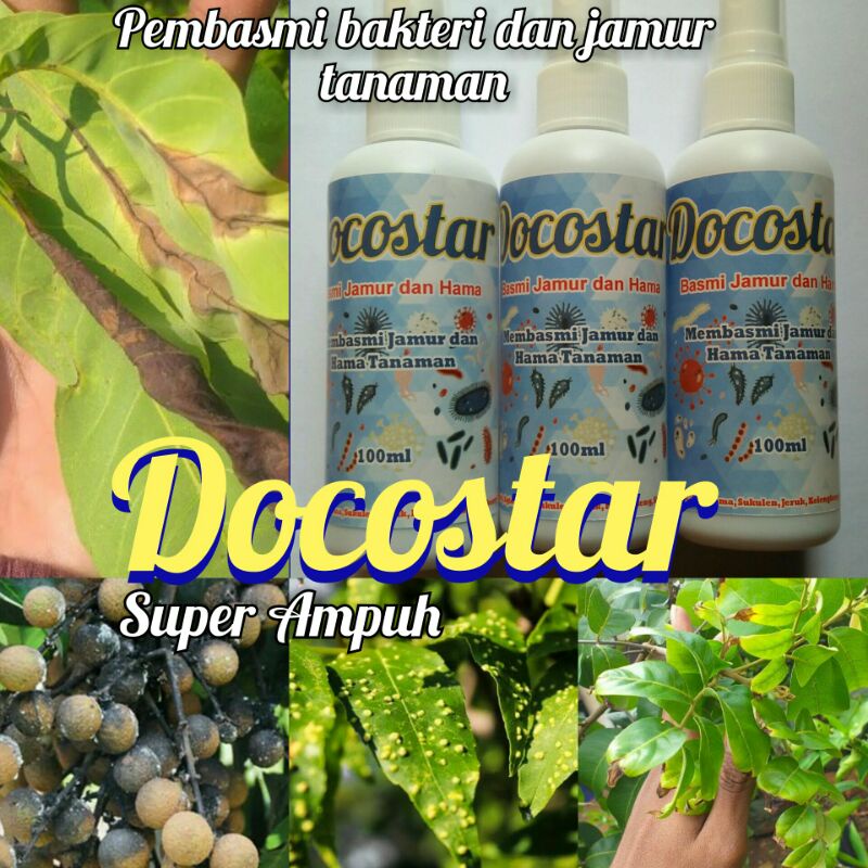 Pembasmi Hama Kelengkeng Cegah Hama Daun dan Buah