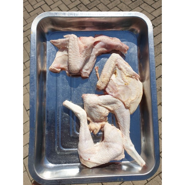 

ayam pejantan 0.8 kg