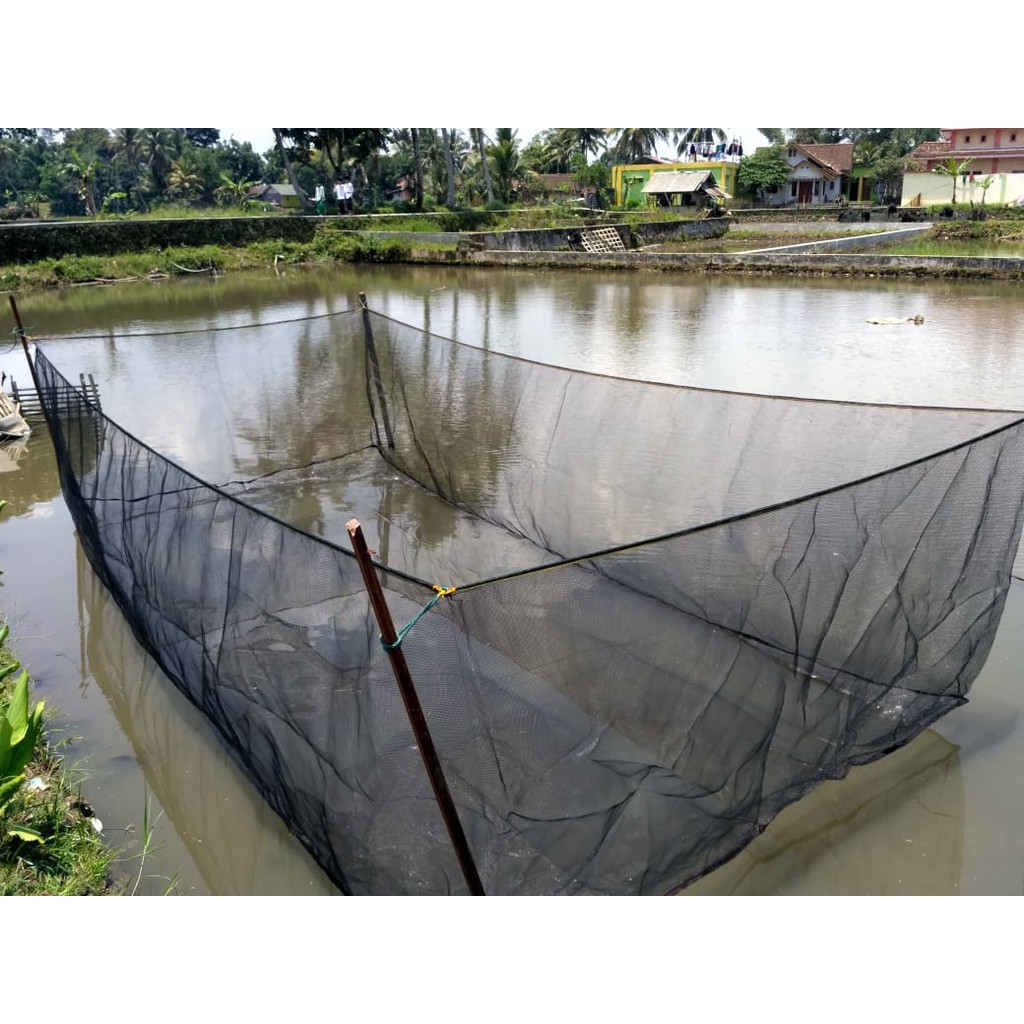 Jual Hapa Keramba Warung Jaring Ikan Siap Pakai 5Mx240cmx110cm Shopee