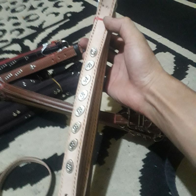 kalung anjing asli kulit