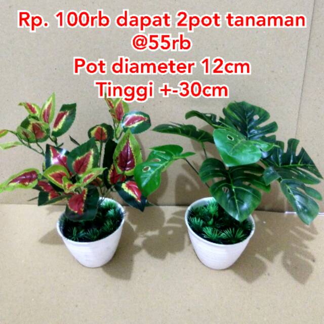 Sepaket monstera / monstera buatan / tanaman hias / tanaman plastik / artifisial