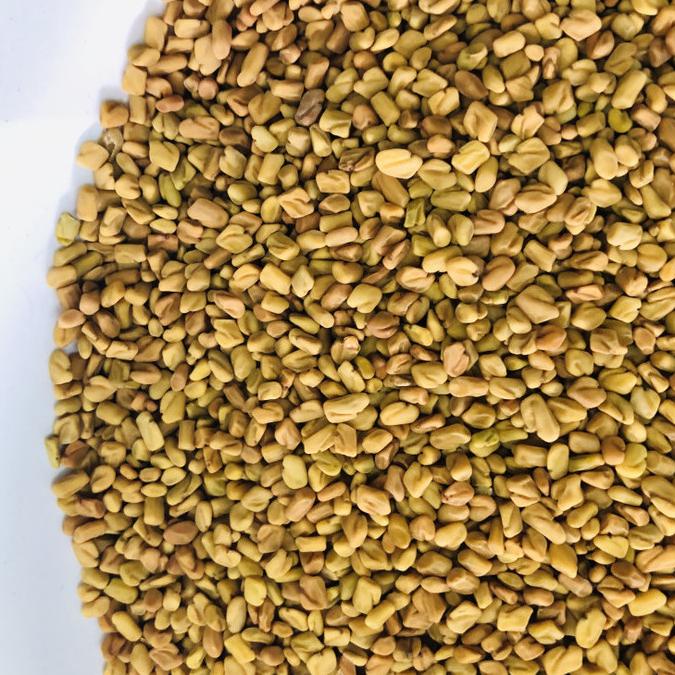 

PROMO Halba / Klabet / Fenugreek Seed 1 Kg MURAH