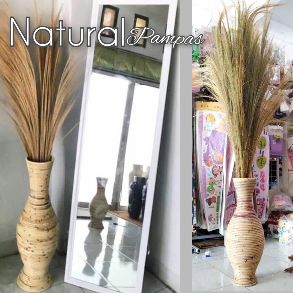 [TERLARIS] pampas, dekorasi, hiasan, daun kering, dekorasi rumah