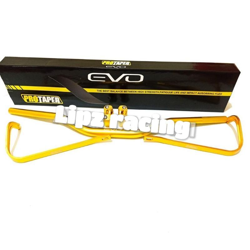 PAKETAN HEMAT stang protaper evo low dan handguard tulang besi protaper