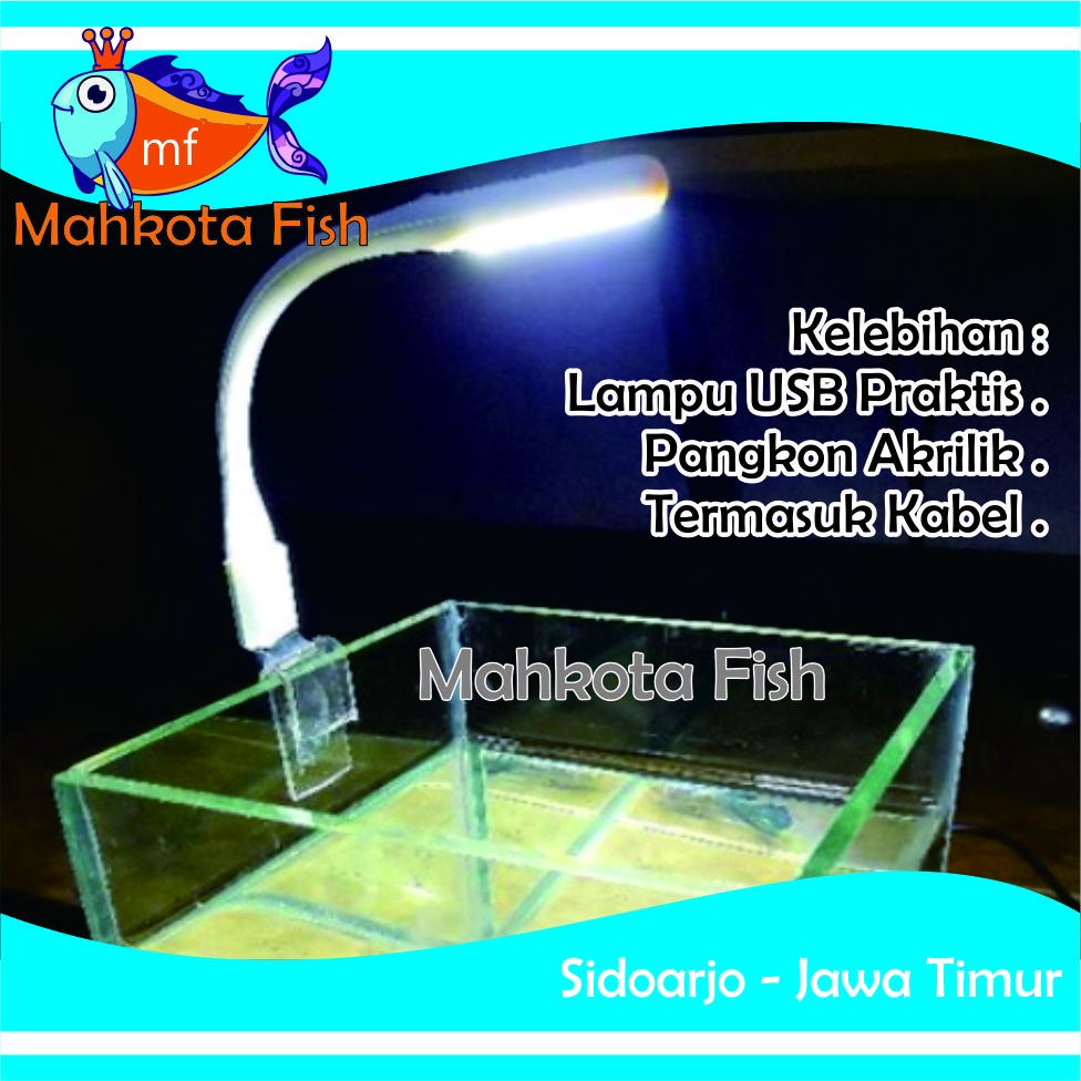 Lampu PANGKON USB Aquarium | Lampu Cupang | Lampu USB (Adaptor Cas) (GRATIS KARDUS)