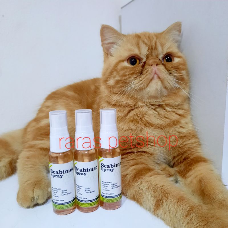 obat scabies spray kulit Scabimec spray obat gatal2 kucing