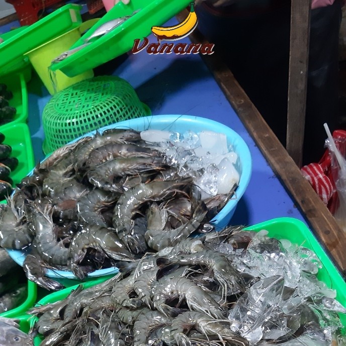 

Udang tawar besar 1/2kg (500g)