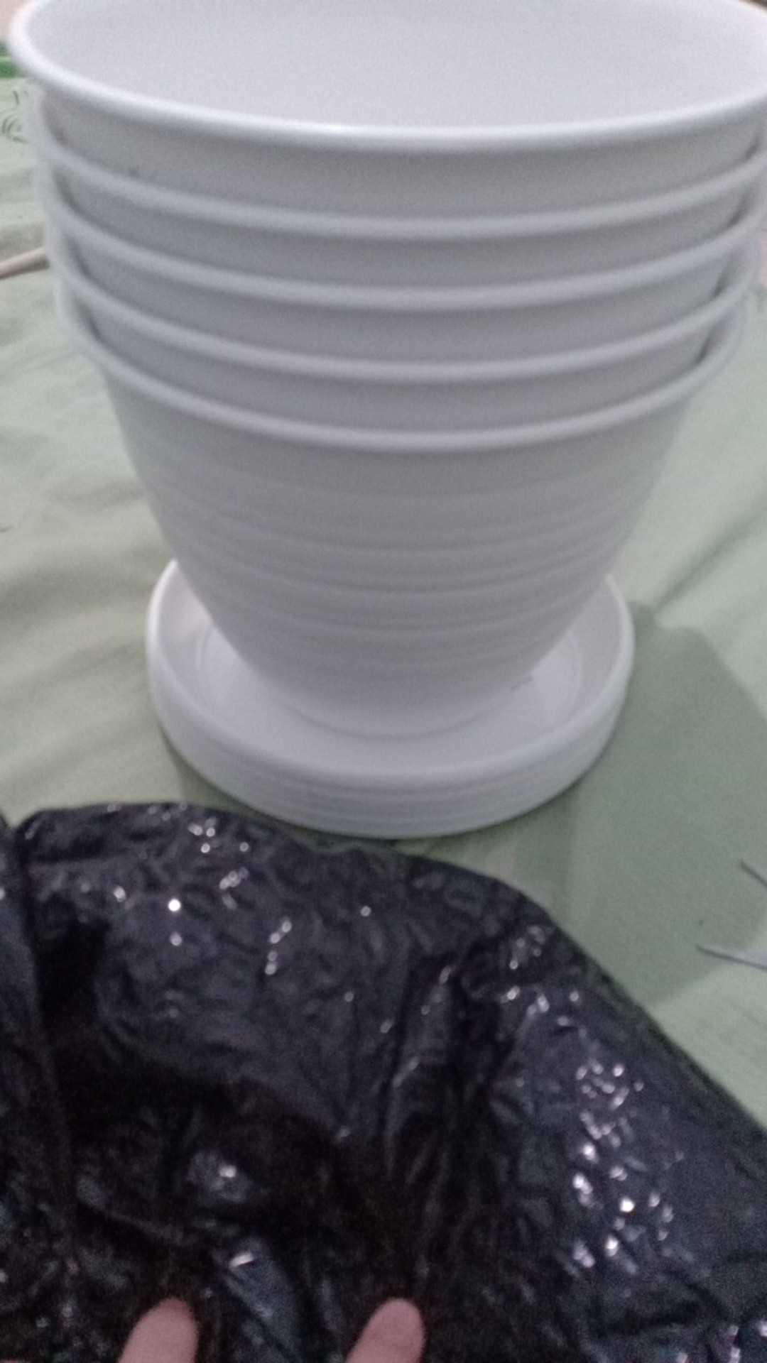 Pot Bunga Tanaman Tawon Putih 18cm +tatakan Bawah