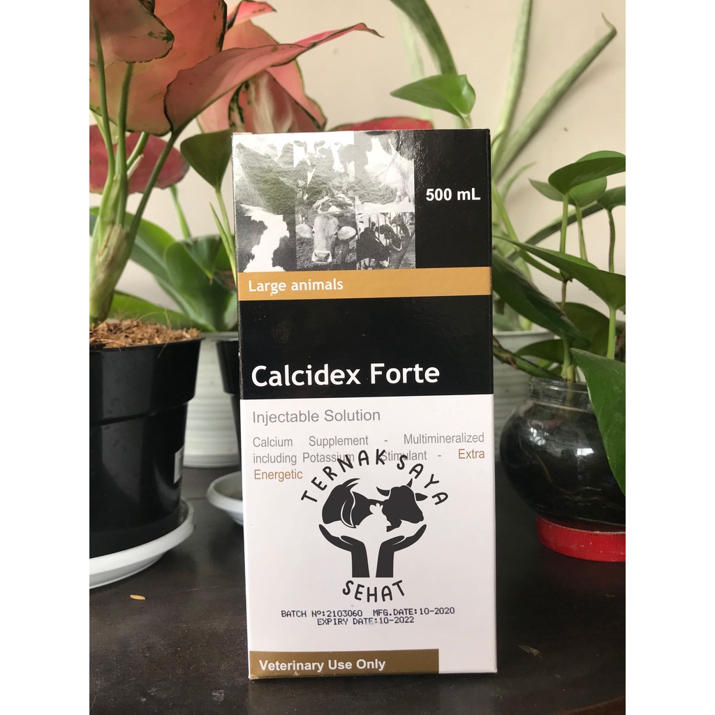 Obat Hewan CALCIDEX FORTE Mineral 500 ml