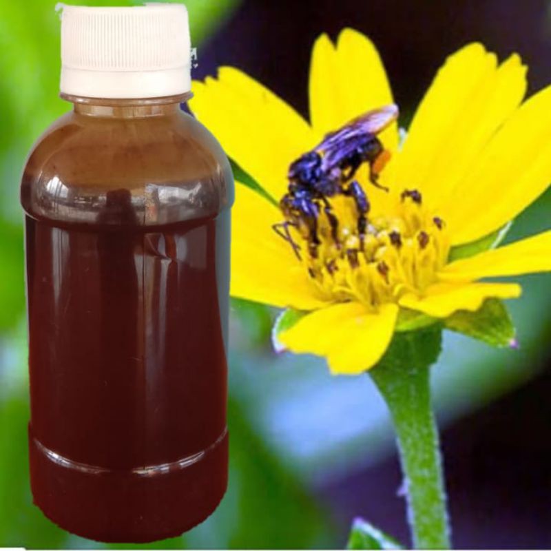 

Madu Trigona/klanceng