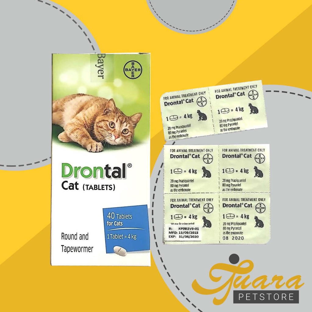 Obat Cacing Kucing Drontal Cat Per Tablet