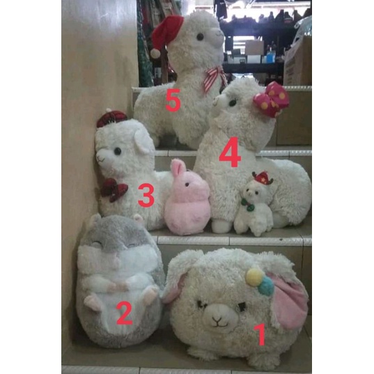 boneka amuse // alpacaso// marmut // baby alpacaso