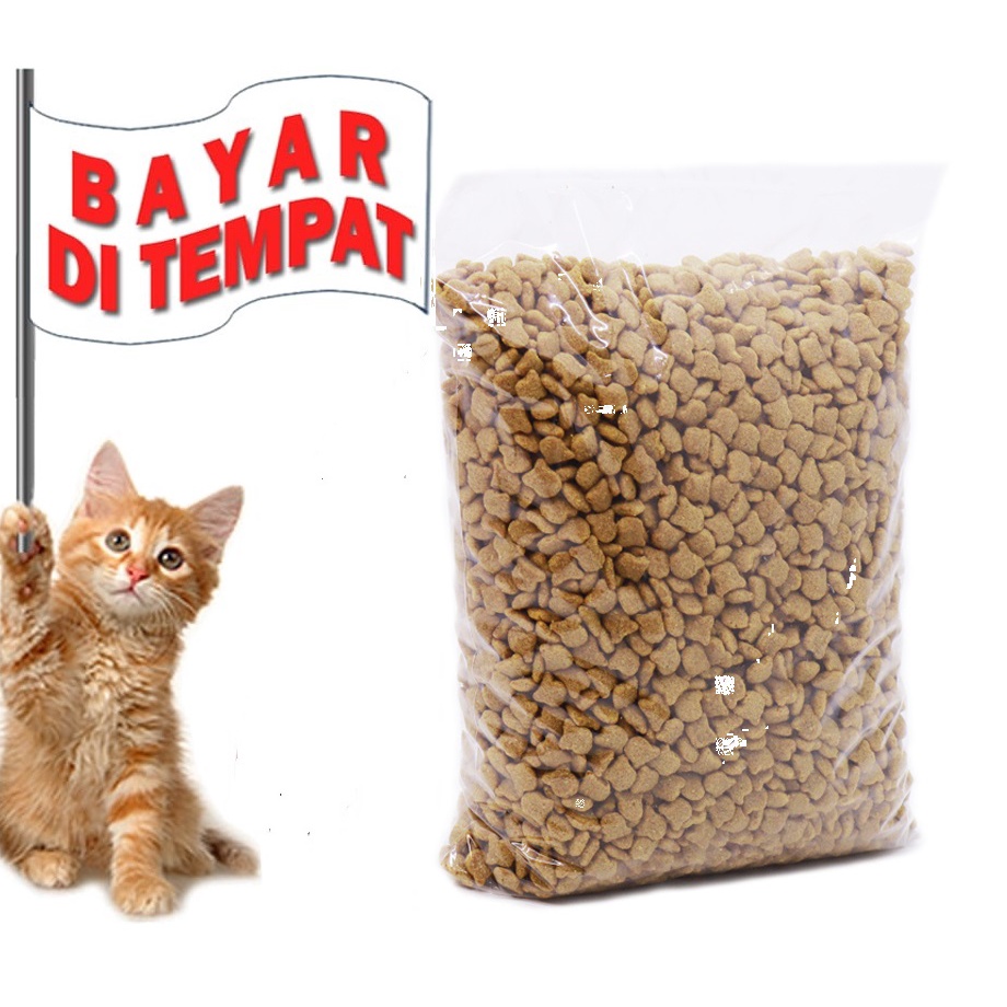 MAKANAN ANAK KUCING KECIL KITTEN TERMURAH UNIVERSAL KITTEN CAT FOOD 1 KG