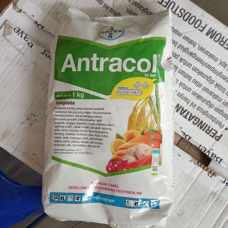 antracol 1 kg