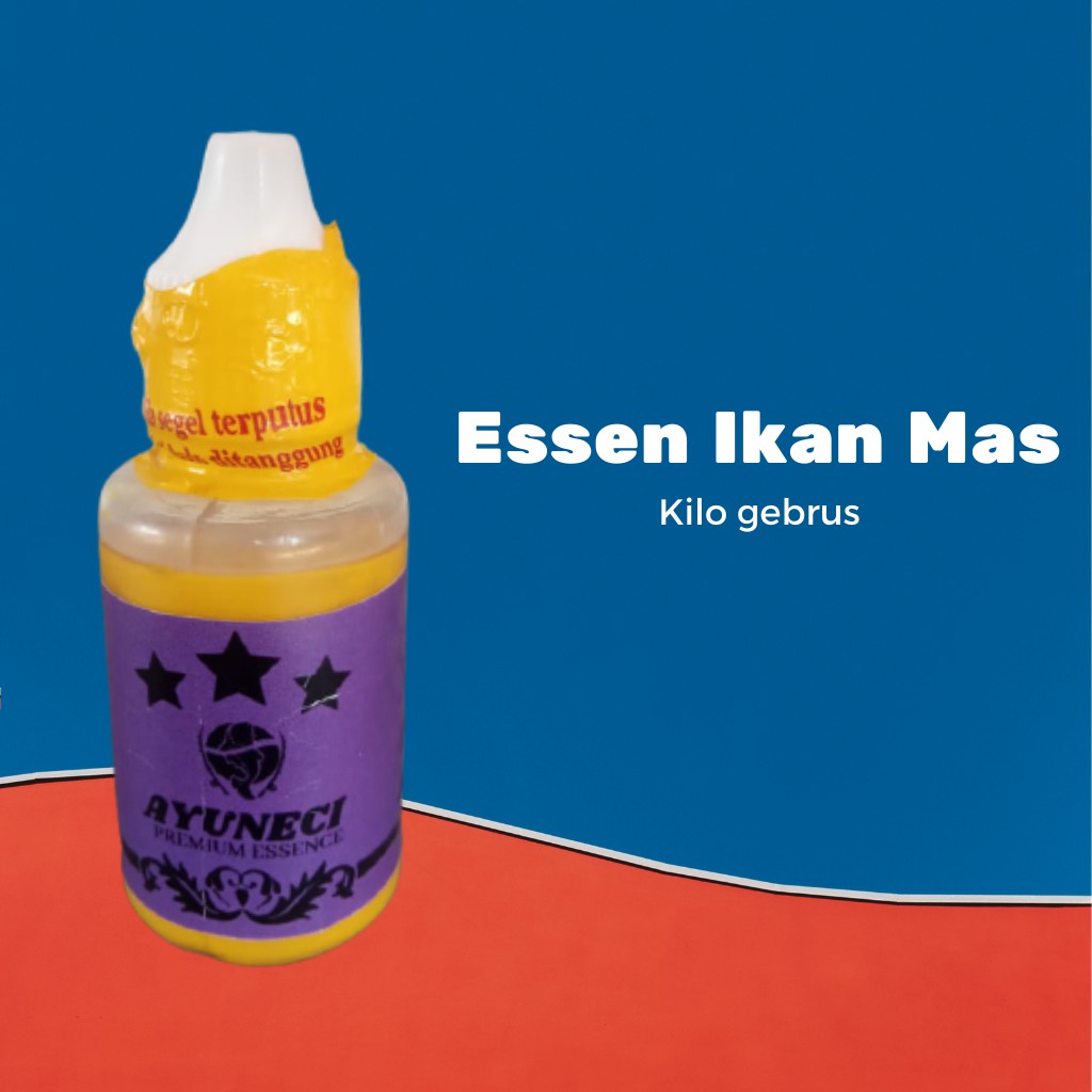 Essen Ikan Mas Kilo Gebrus Harian Lomba