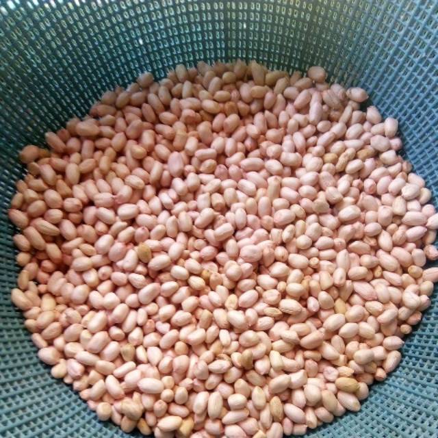 

KACANG TANAH KERING 100gram