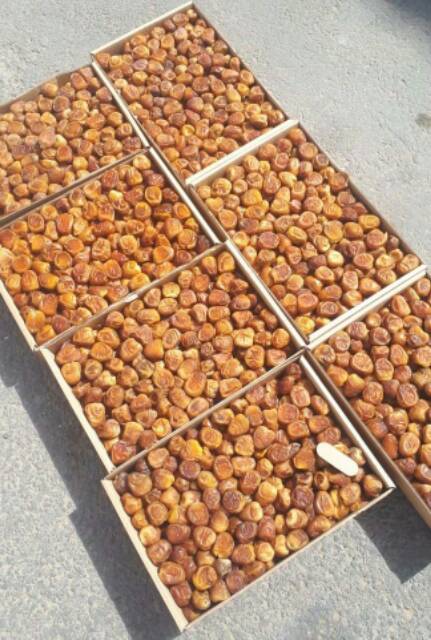 

Kurma sukari 1 kg