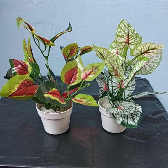 Tanaman Hias Artificial Daun Artificial Pohon Mini Monstera Aglaonema Keladi