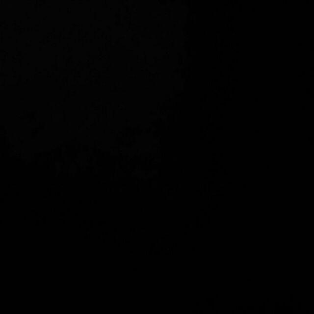 Alas Piring Bulat Isi 150 & 250 Lembar / Kertas Nasi Bulat Bunga  / Alas Piring Anyam