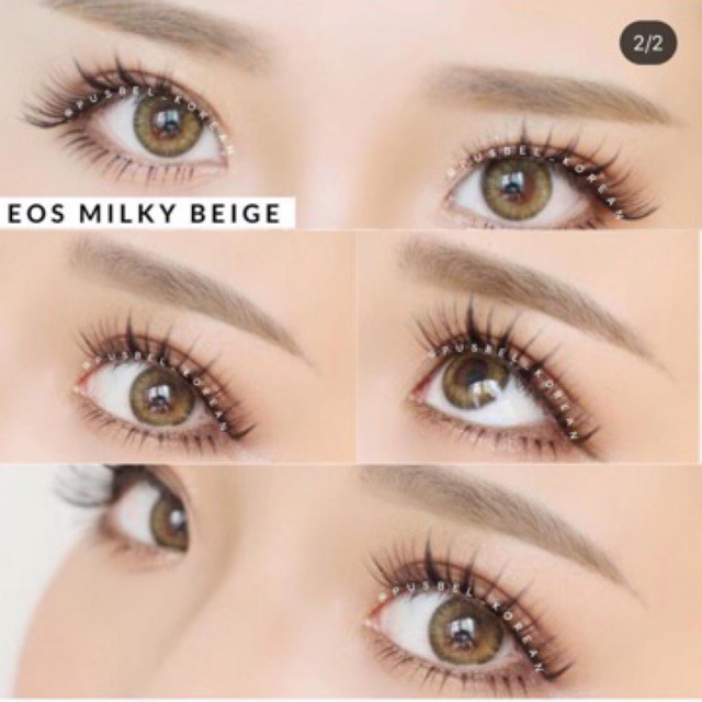 Softlens korea eos milky choco beige gray