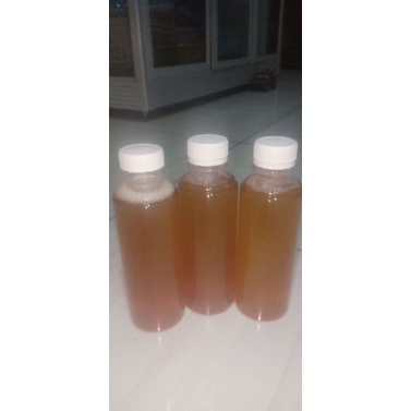 

madu klulut/klanceng/lebah trigona isi 250 mil