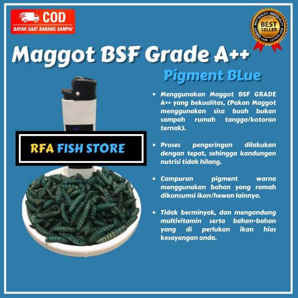 Maggot Kering BSF Grade A++ Pigment BLUE Pakan ikan predator channa pulcra auranti bukan el barca