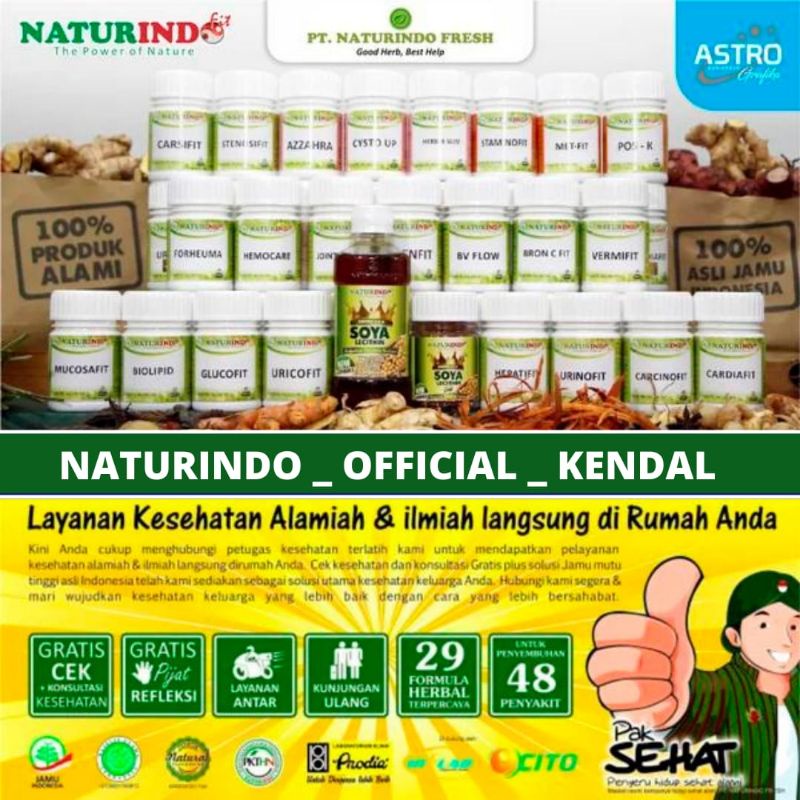 Obat Herbal Hernia Ampuh Herbal Turun Berok Kanker prostat