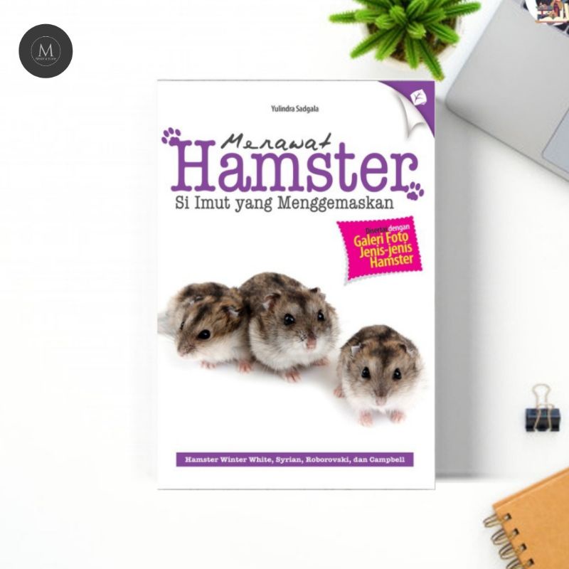 

MERAWAT HAMSTER : SI IMUT YANG MENGGEMASKAN