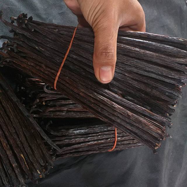 

Vanilla planivolia /premium gret A 100grm