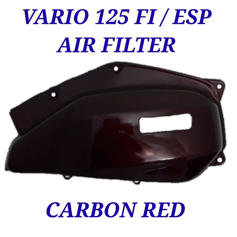 Air Filter Vario 125 Fi / Esp