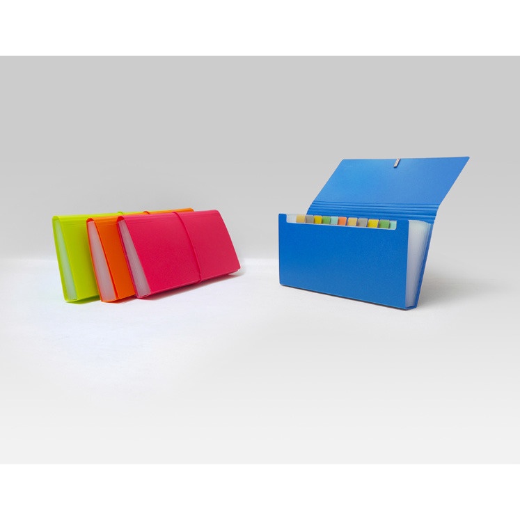 

Bantex Expanding File Cheque (12 Pockets) 8811